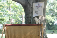 Image 001