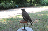 Image 001