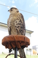 Image 001