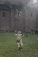 Image 001